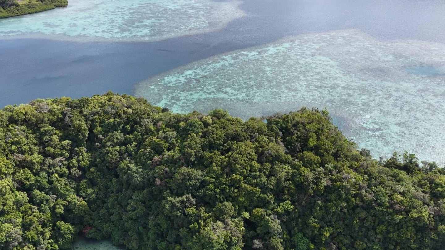 Lush limestone islands and coral reefs rise from clear Pacific waters in Palau.