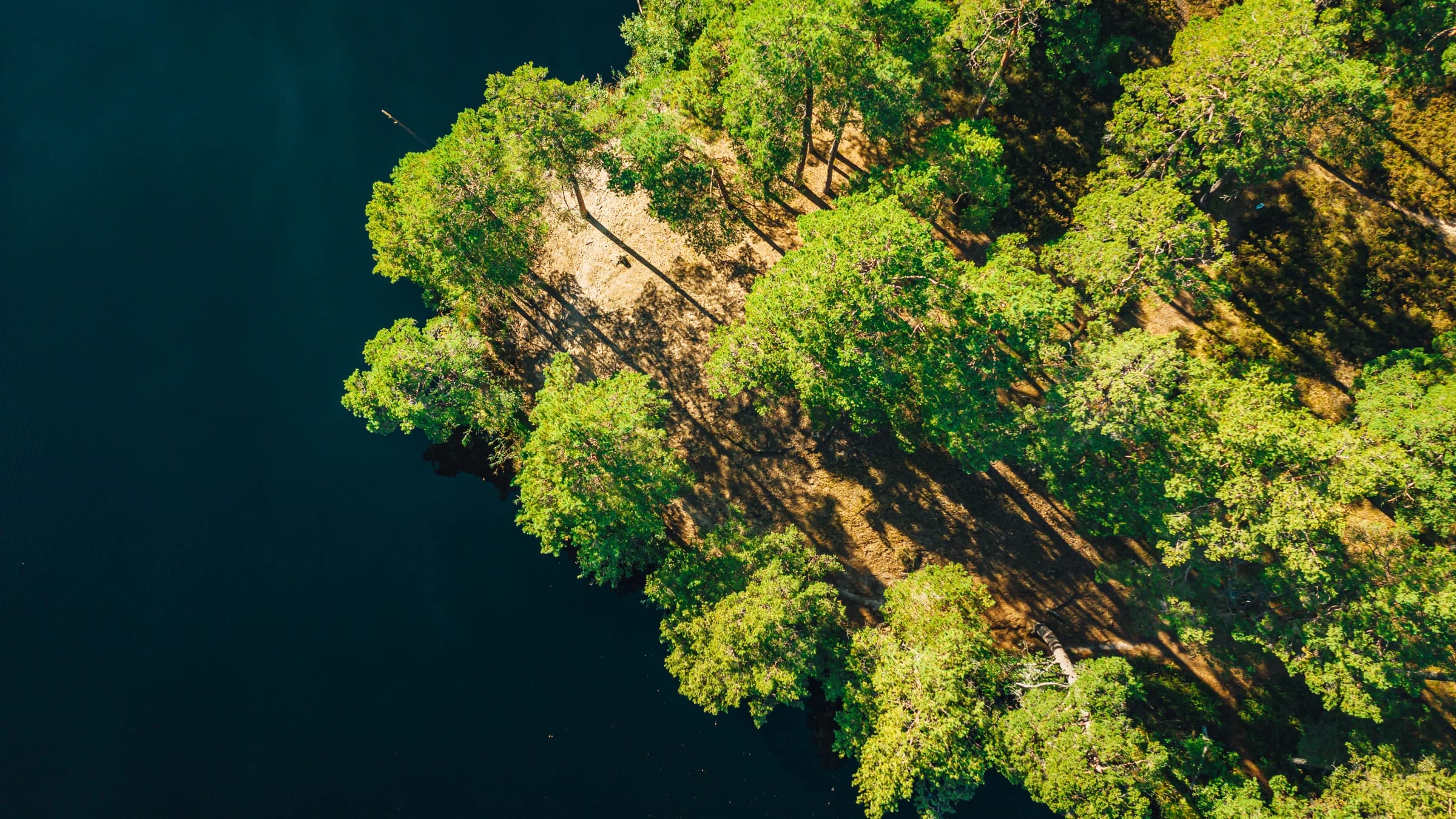 Aerial view of dark reservoir water beside a densely forested shoreline.
