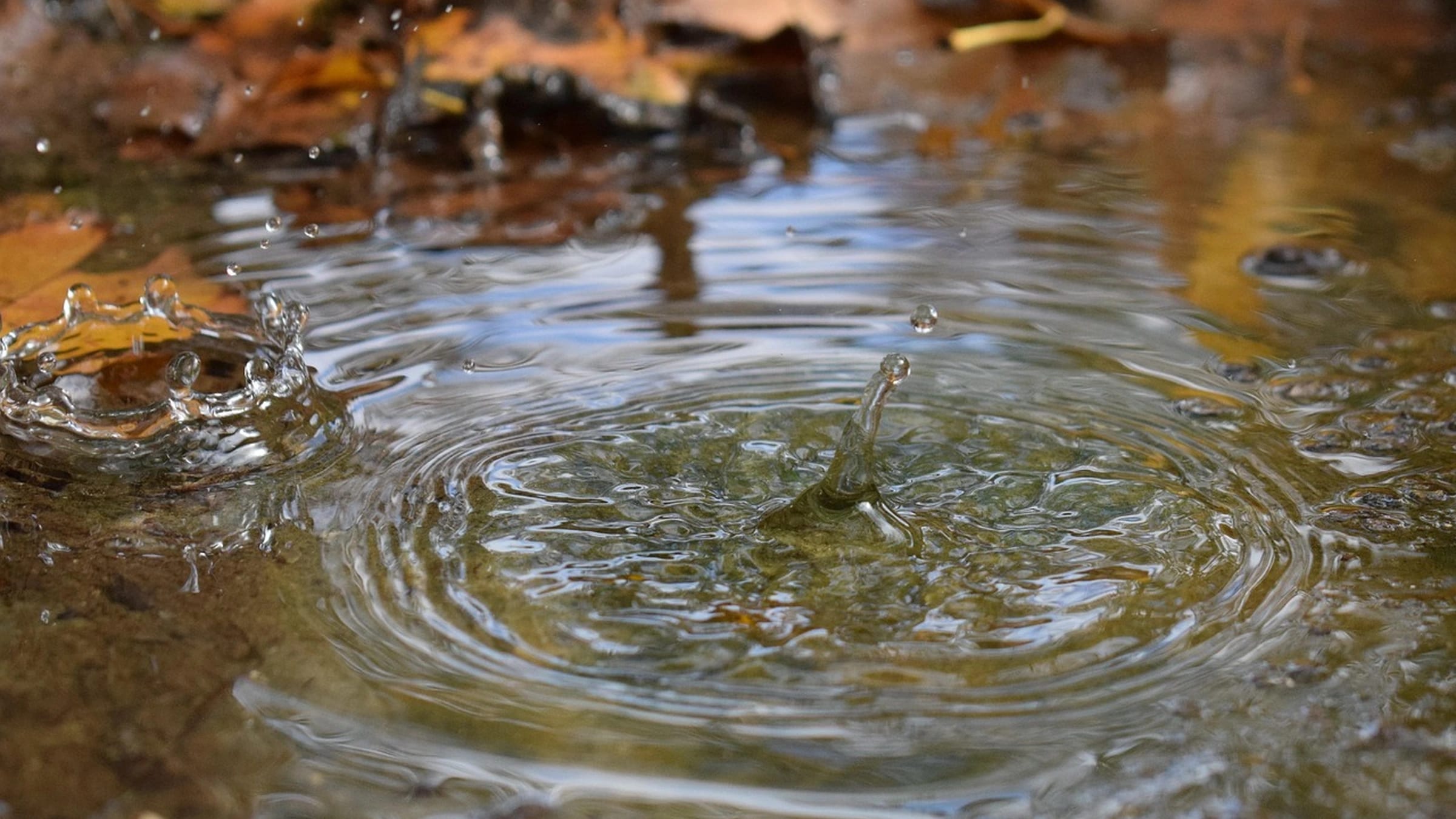 Raindrops creating ripples on a shallow water surface