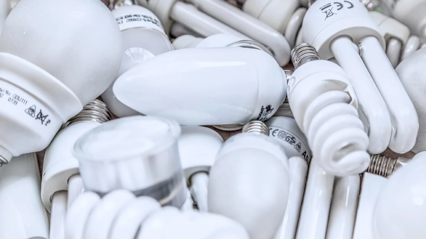 A pile of discarded LED and compact fluorescent light bulbs fills the frame.