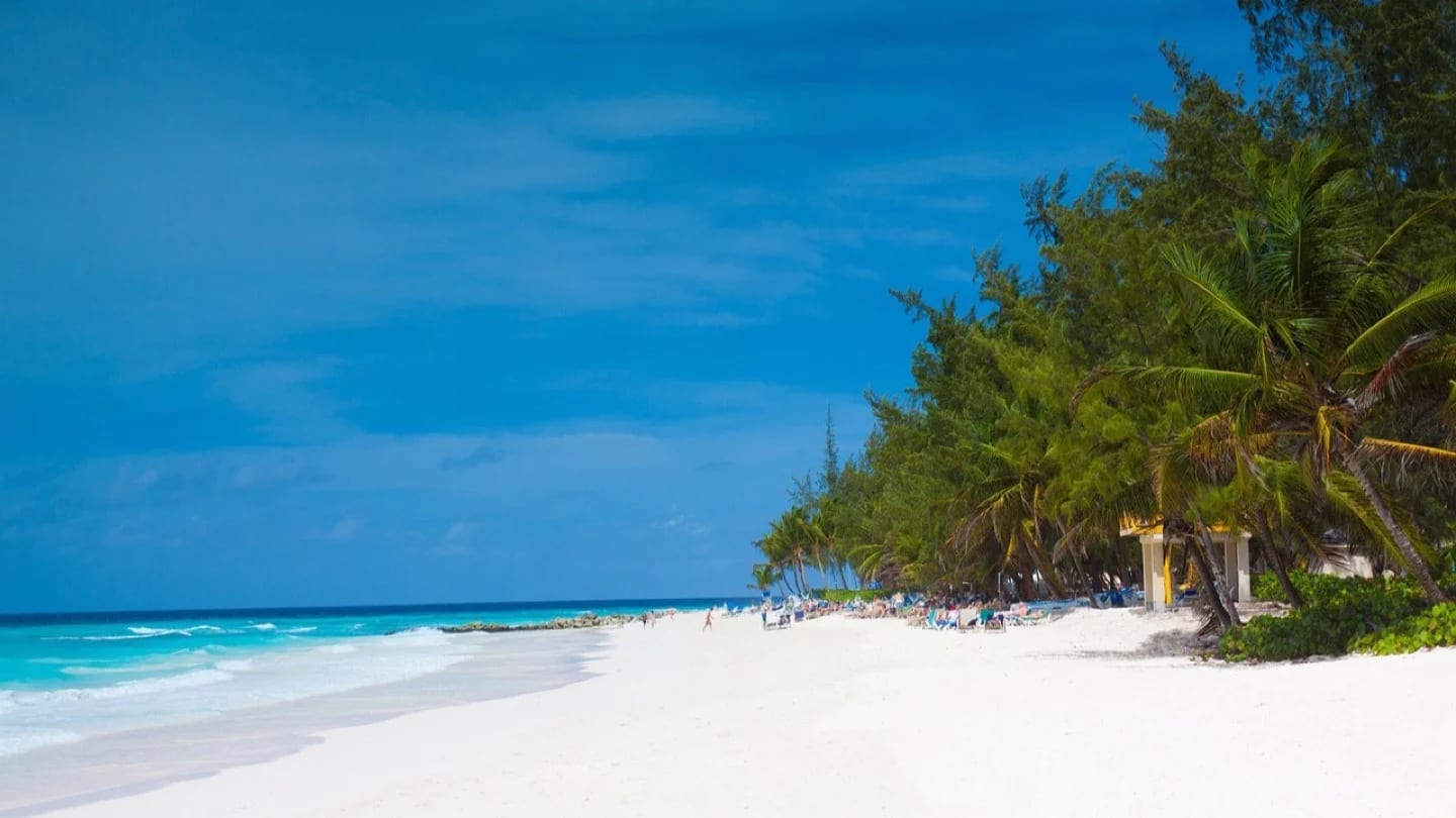 A white-sand beach and palm-lined coast in Barbados.