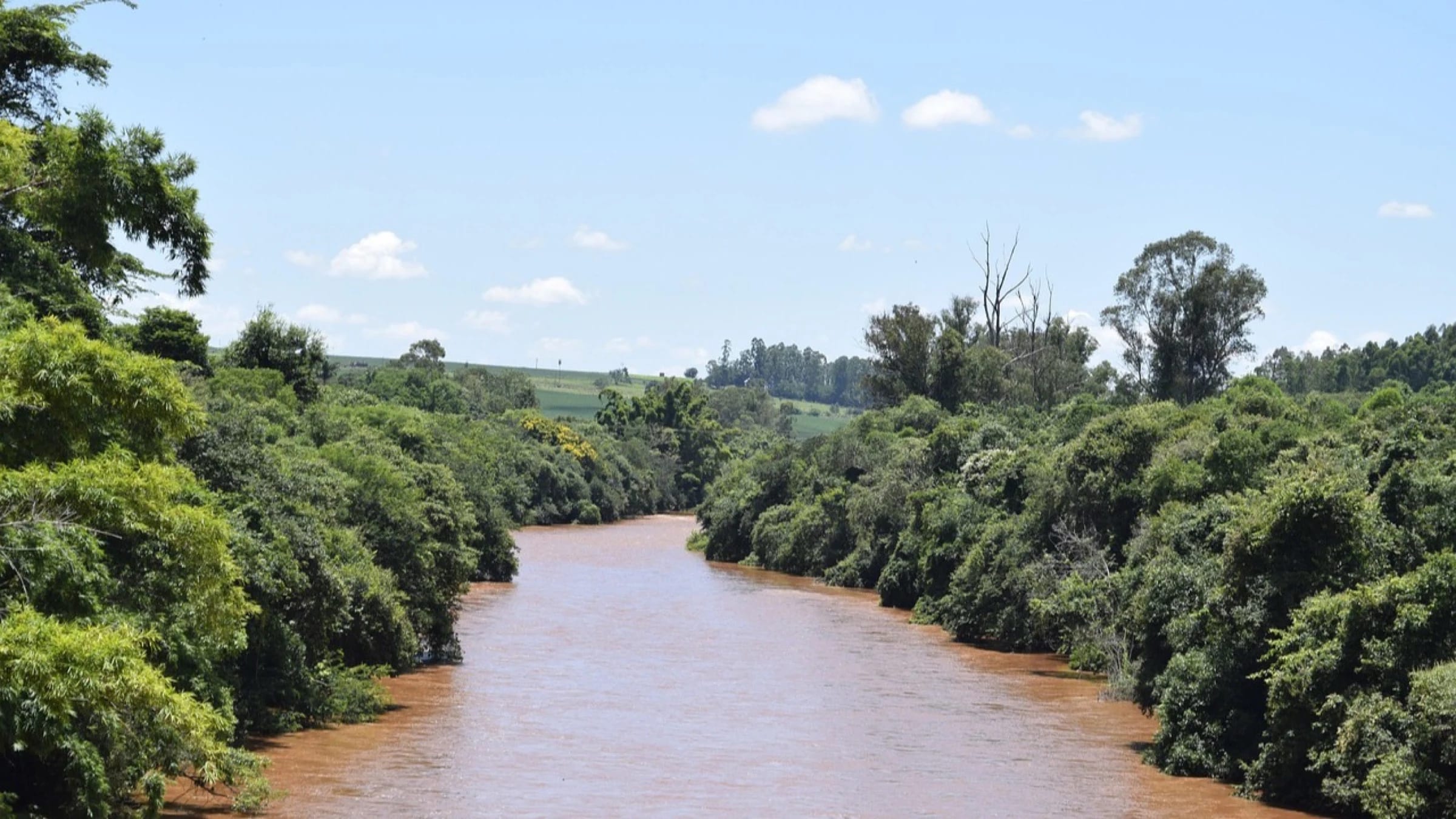 River winding through a green landscape in São Paulo state, Brazil.