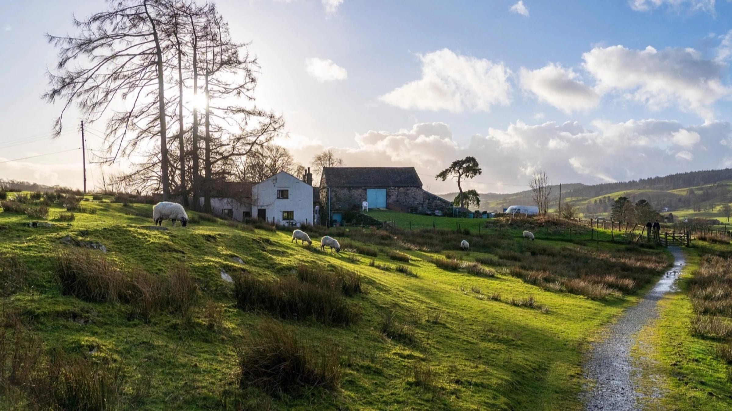House, path and grazing sheep within green countryside in England.