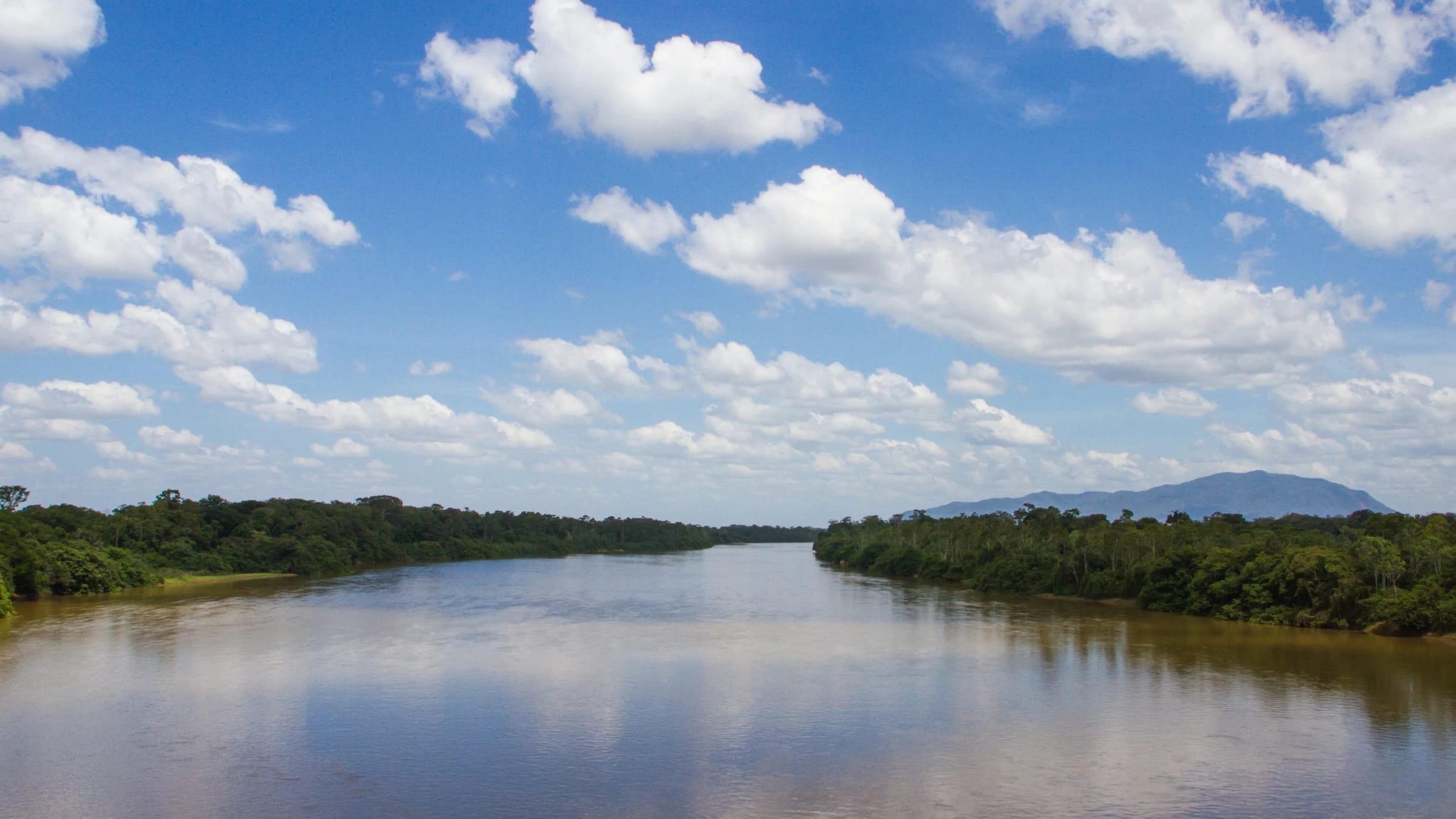 Broad Amazon river bordered by dense tropical forest in Roraima, Brazil.