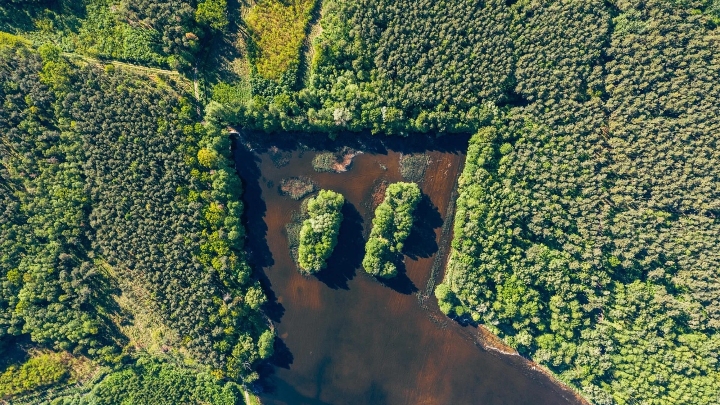 Aerial view of forest, wetlands, and a winding road in Poland.