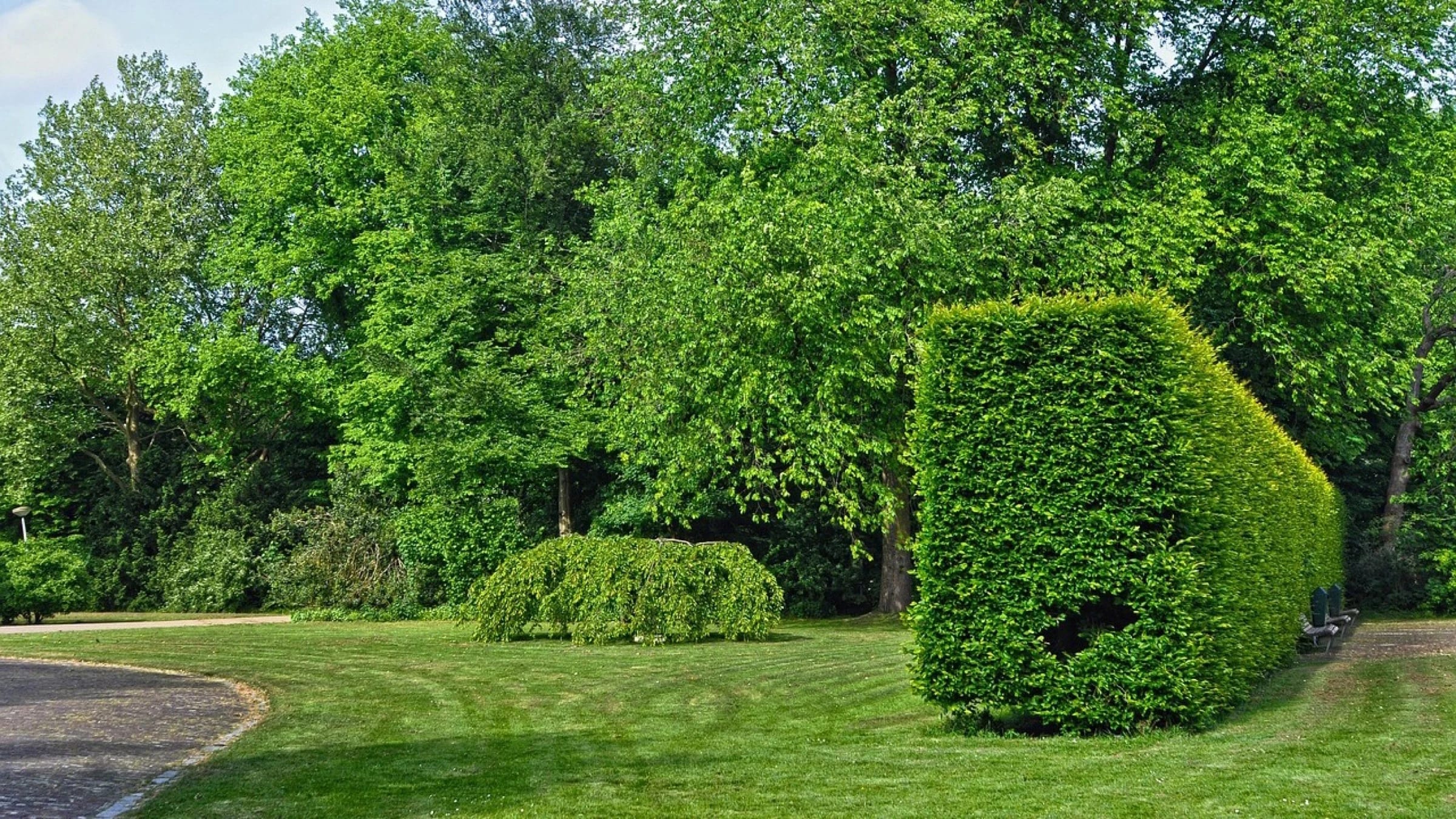 Managed urban green space with trees, hedges and lawn.