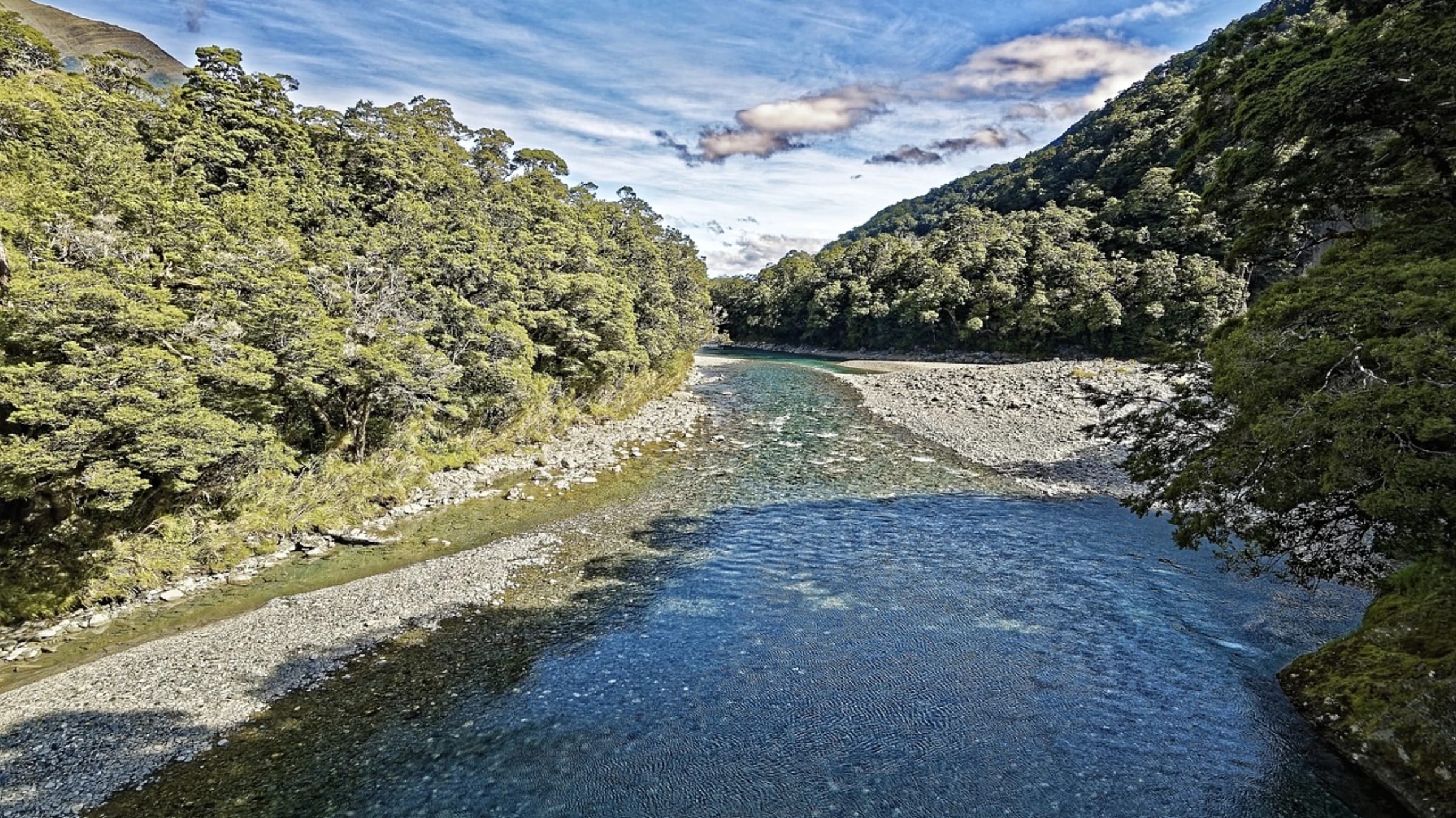 The Makarora River flowing through a forested mountain valley in New Zealand.