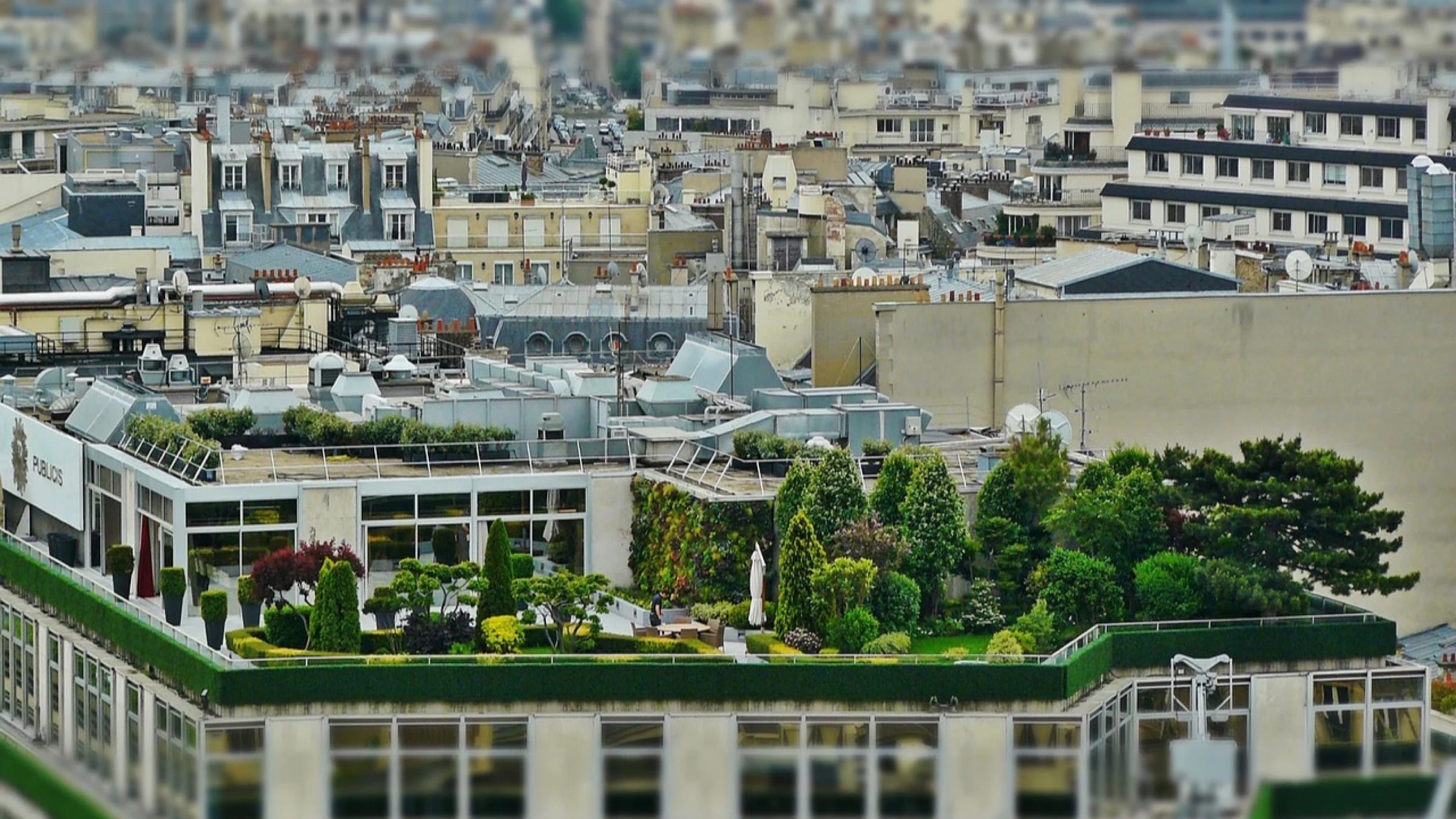 Rooftop garden above the Paris cityscape.