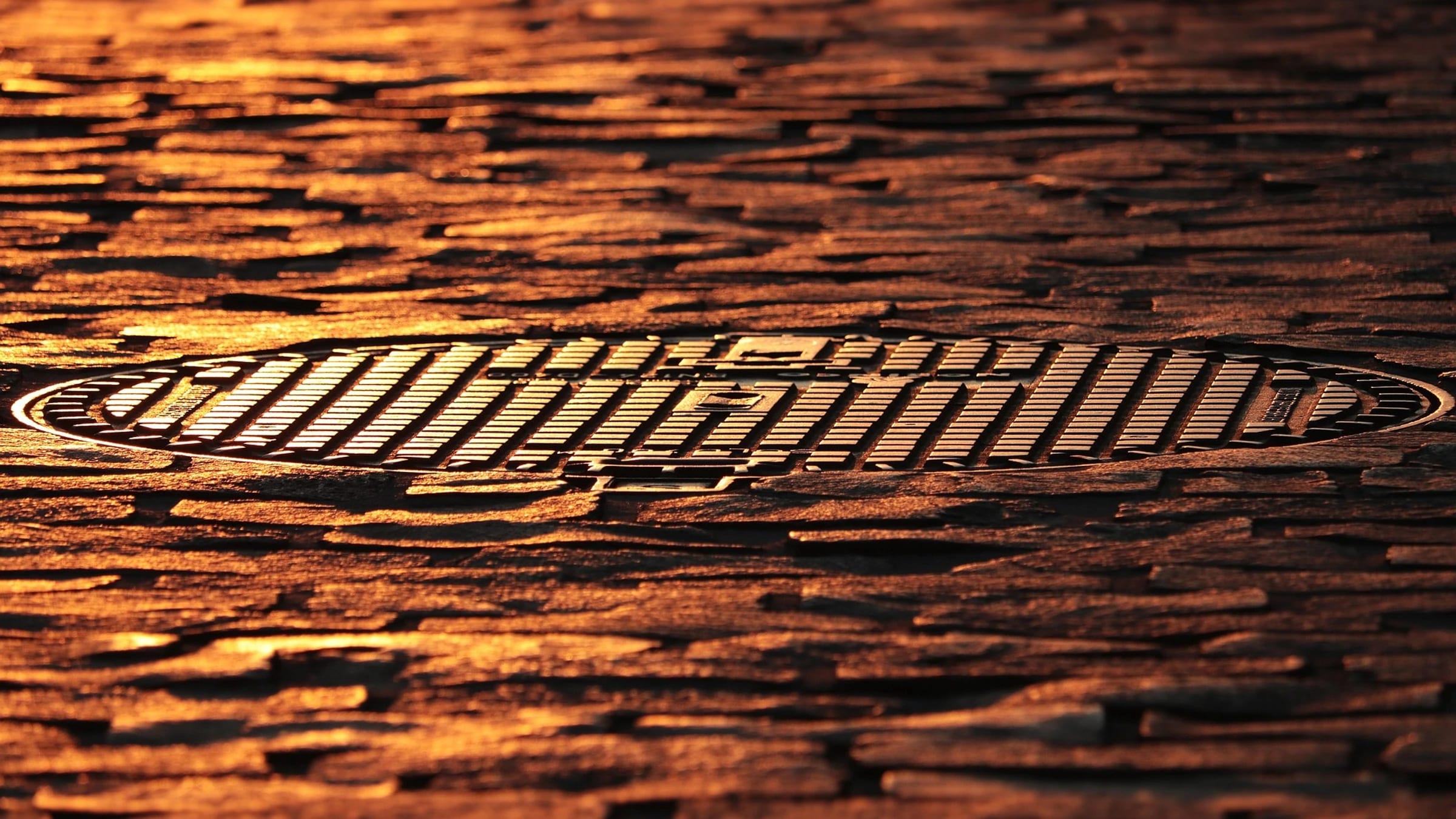 Metal drainage cover in wet cobblestone paving.