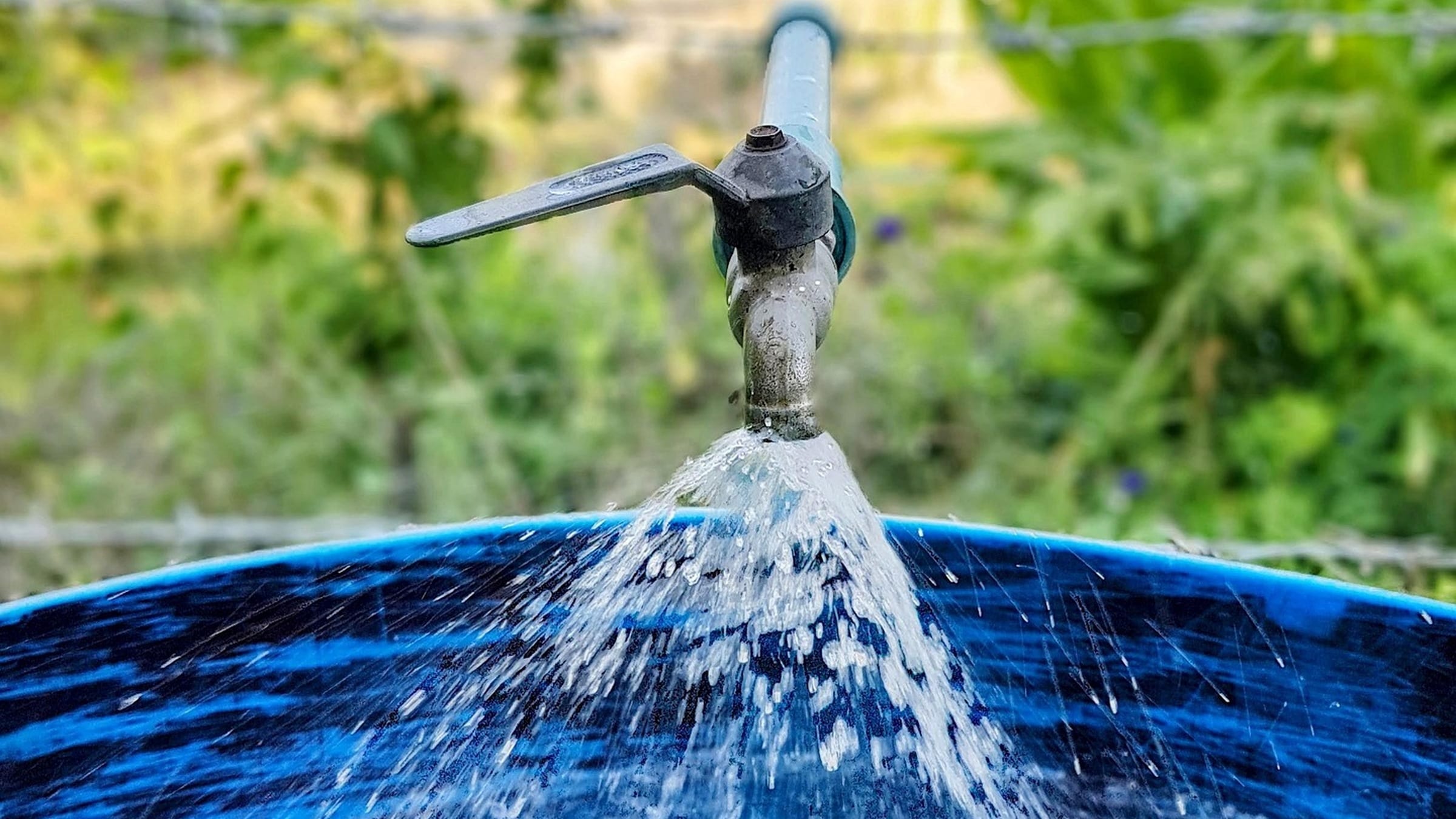 A tap releasing water into a blue container.