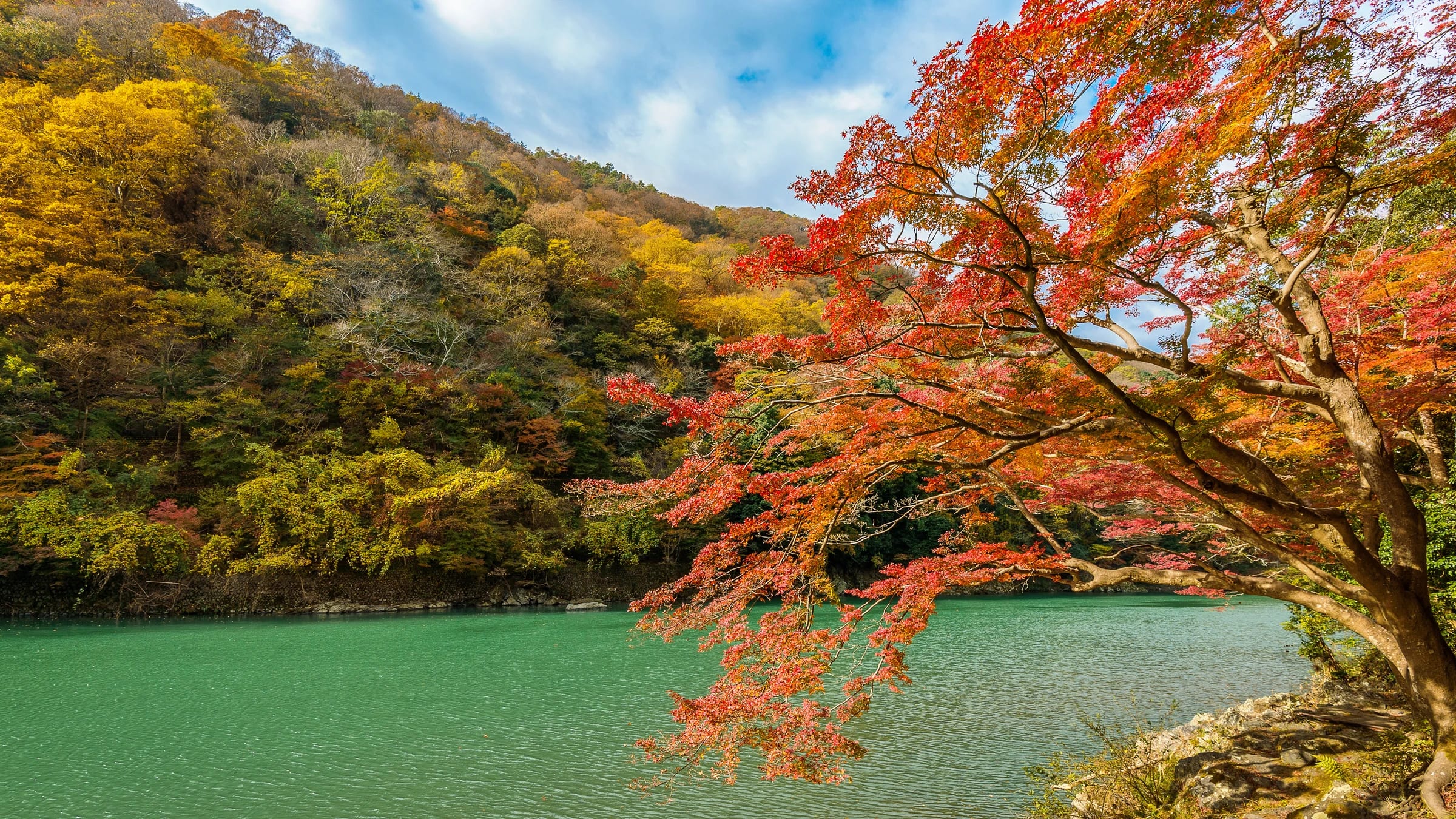Autumn woodland beside a river in Arashiyama, Kyoto