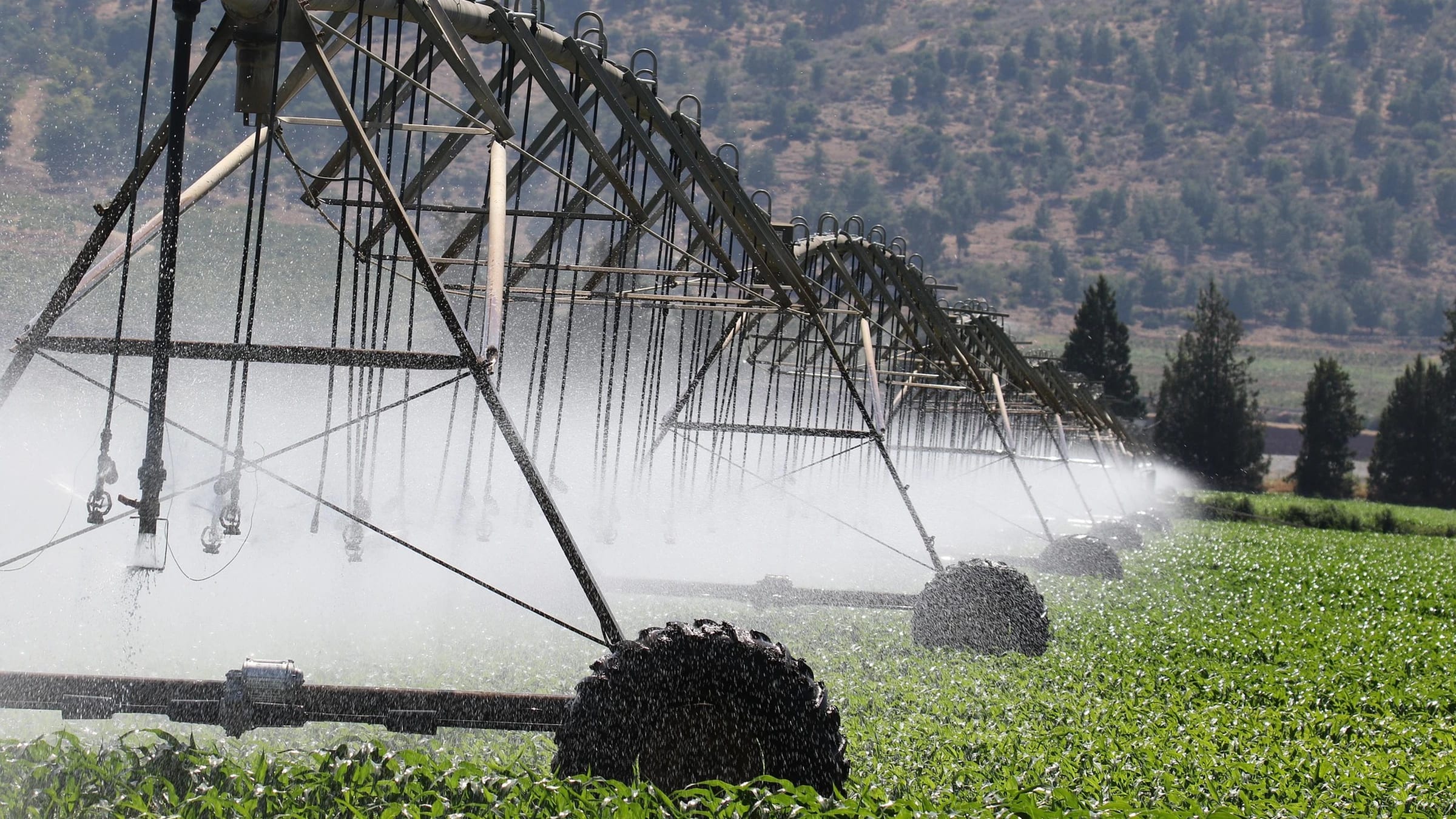 A centre-pivot irrigation system spraying crops against a mountain backdrop.