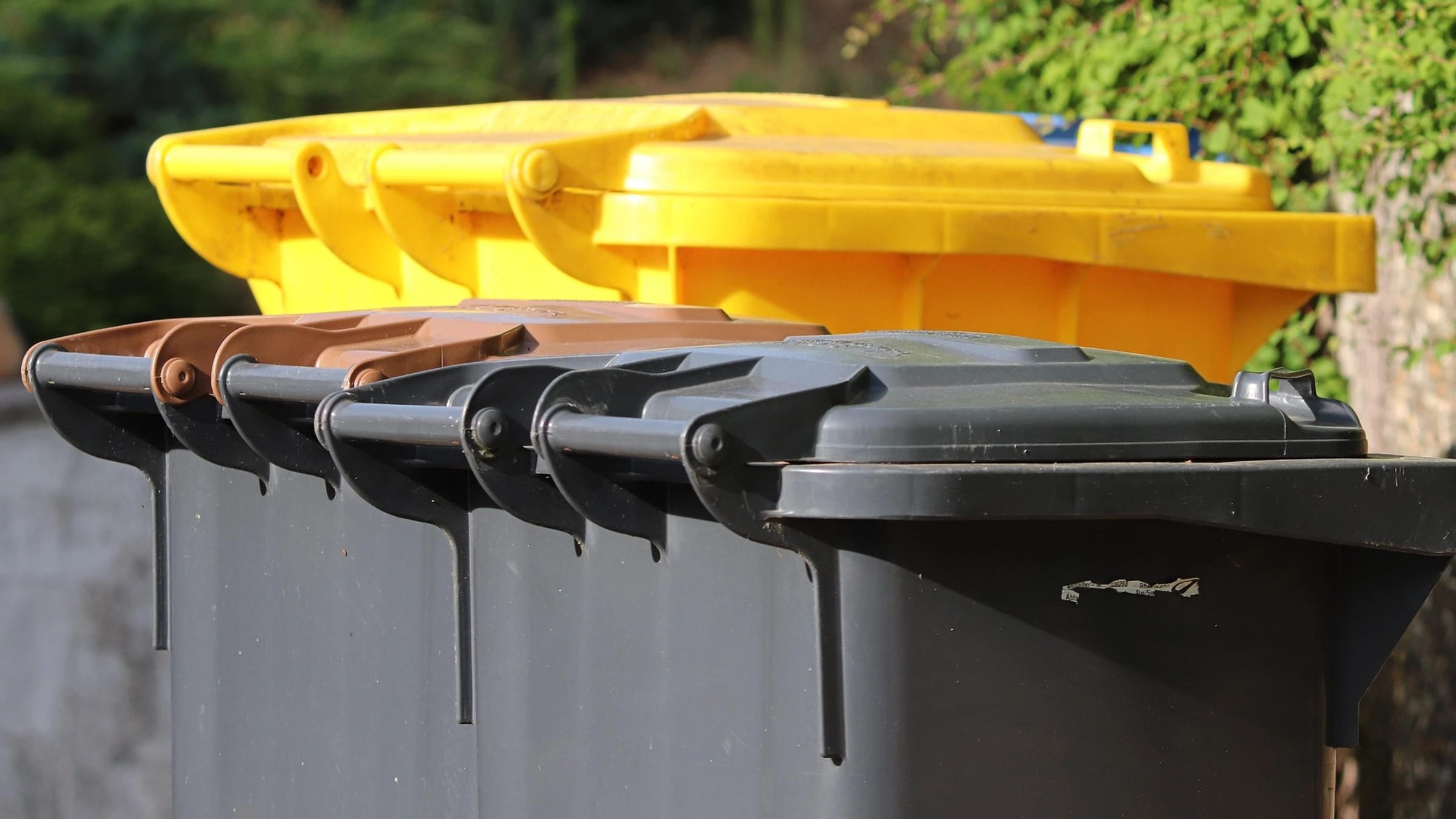Rows of dark, brown and yellow wheeled waste containers.