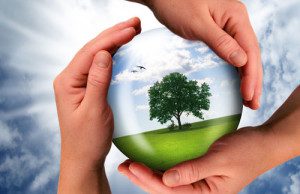 Sustainability means different things to different people