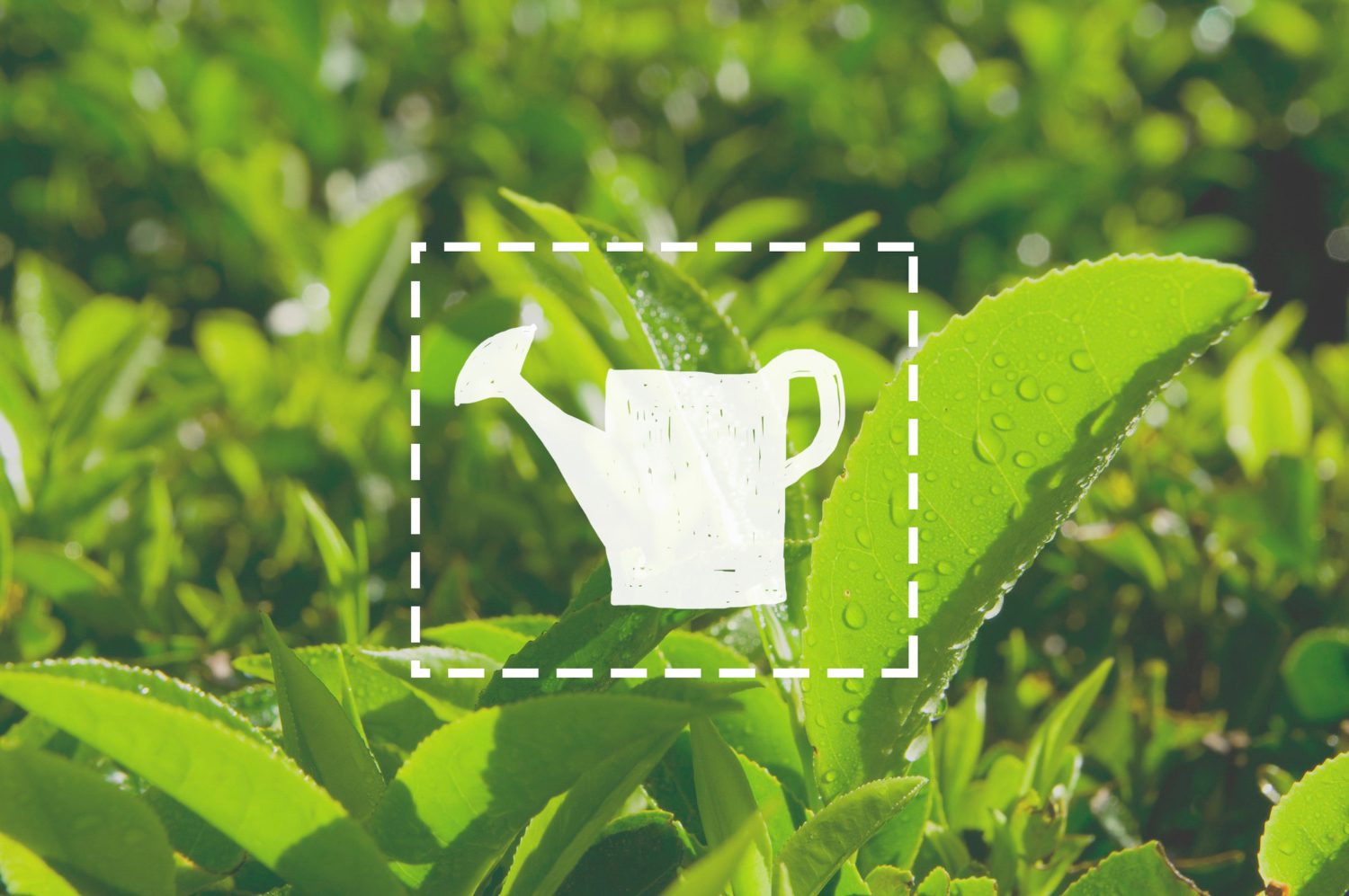 AI-enabled smart metering supporting precision agricultural water management and digital governance.