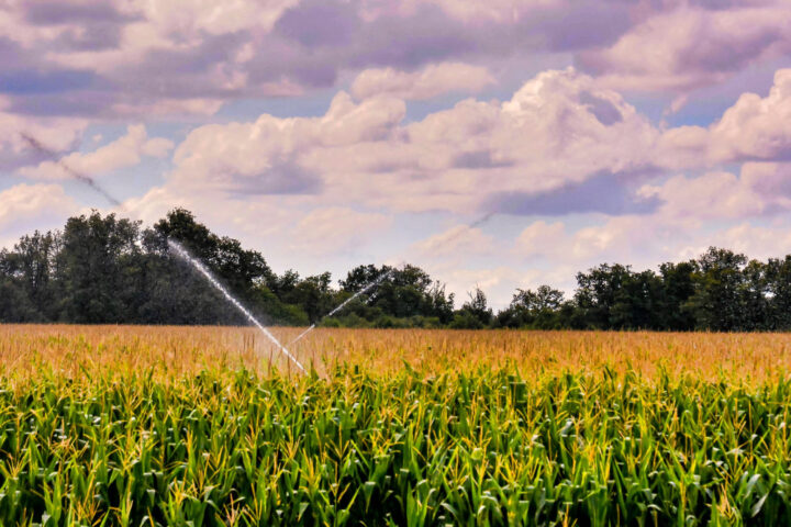 Agricultural irrigation system spraying water across crop fields to improve irrigation efficiency and drought resilience