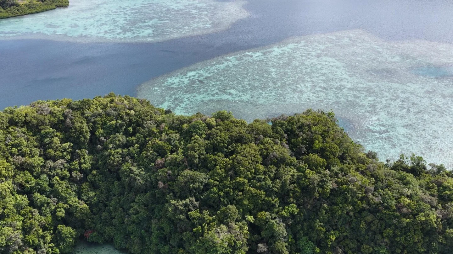 Lush limestone islands and coral reefs rise from clear Pacific waters in Palau.