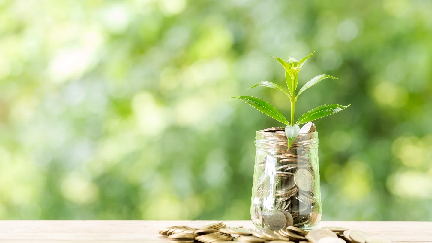 A green plant grows from coins collected in a clear glass jar.