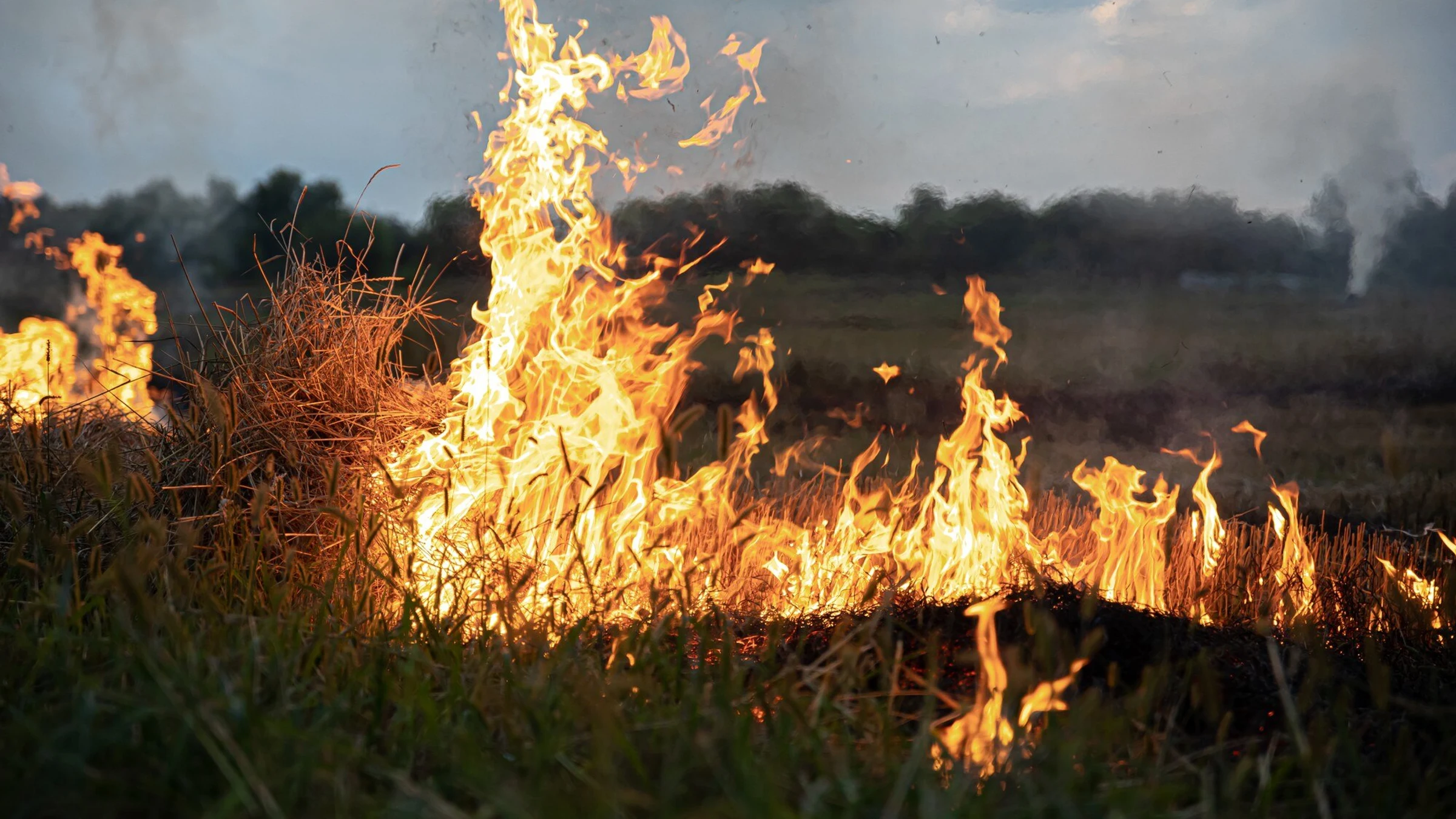 Flames and smoke move through dry grassland beneath an open sky.