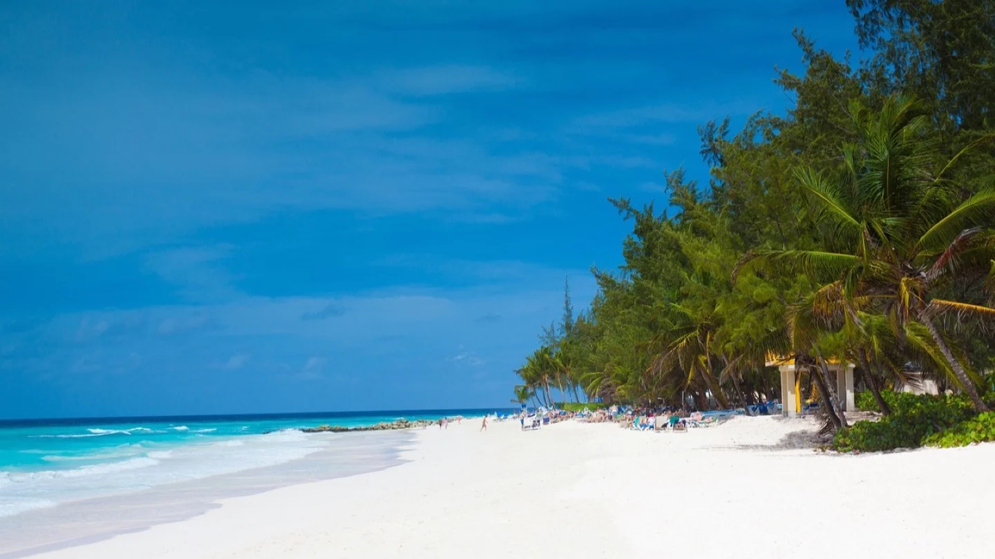 A white-sand beach and palm-lined coast in Barbados.