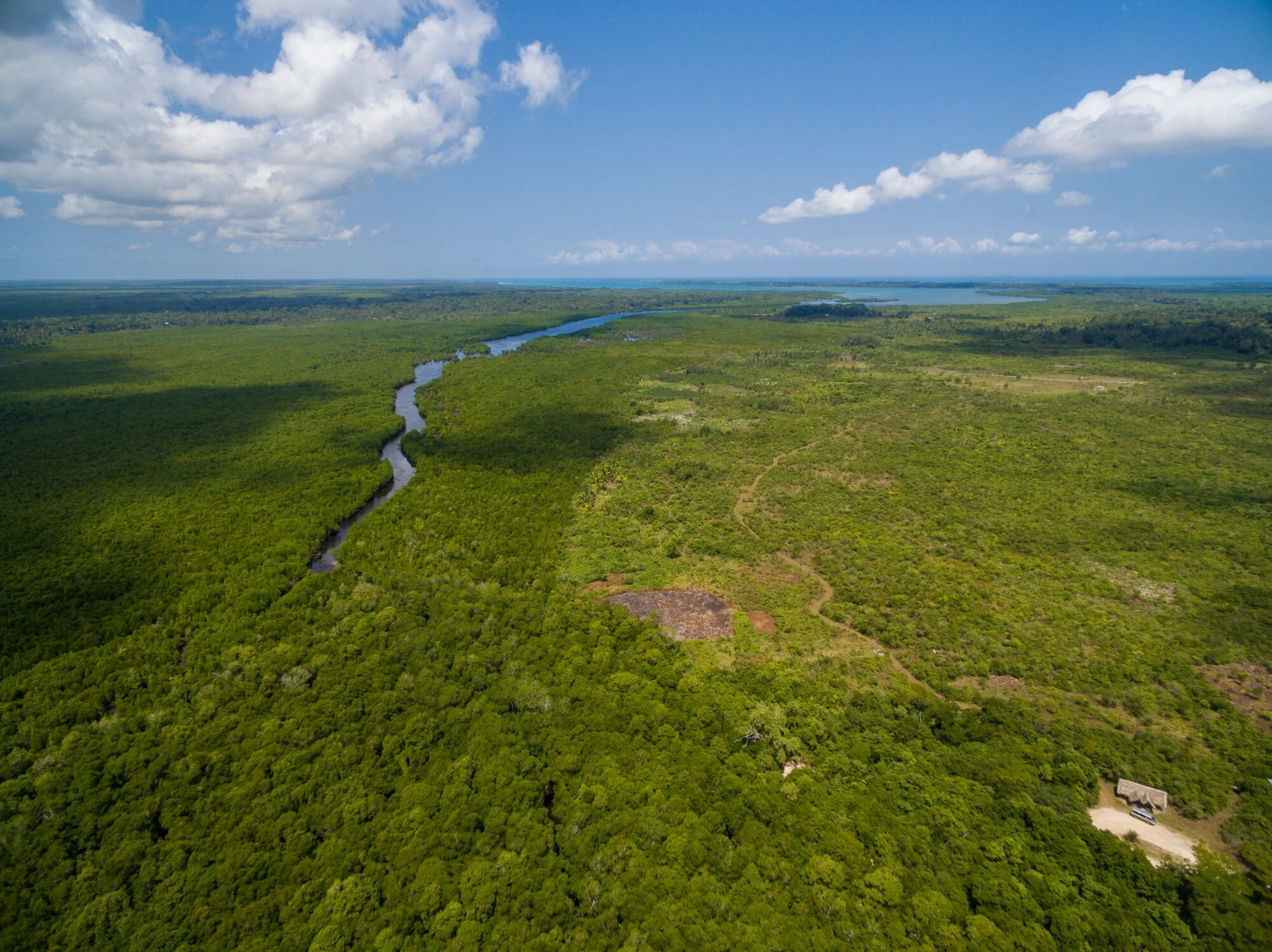 Aerial view of a river winding through green fields.