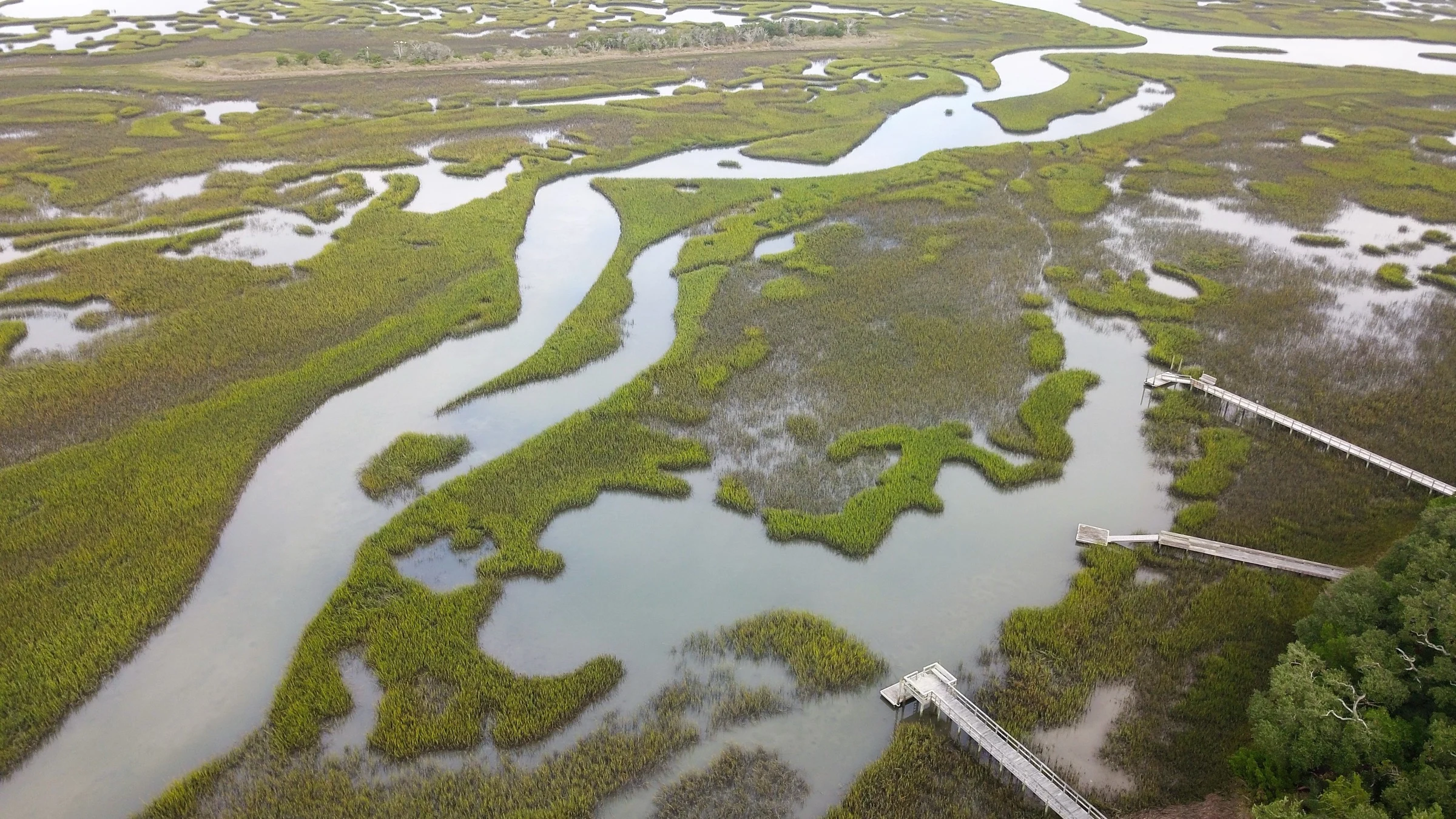 Aerial view of wetlands and winding channels along the Atlantic Coast