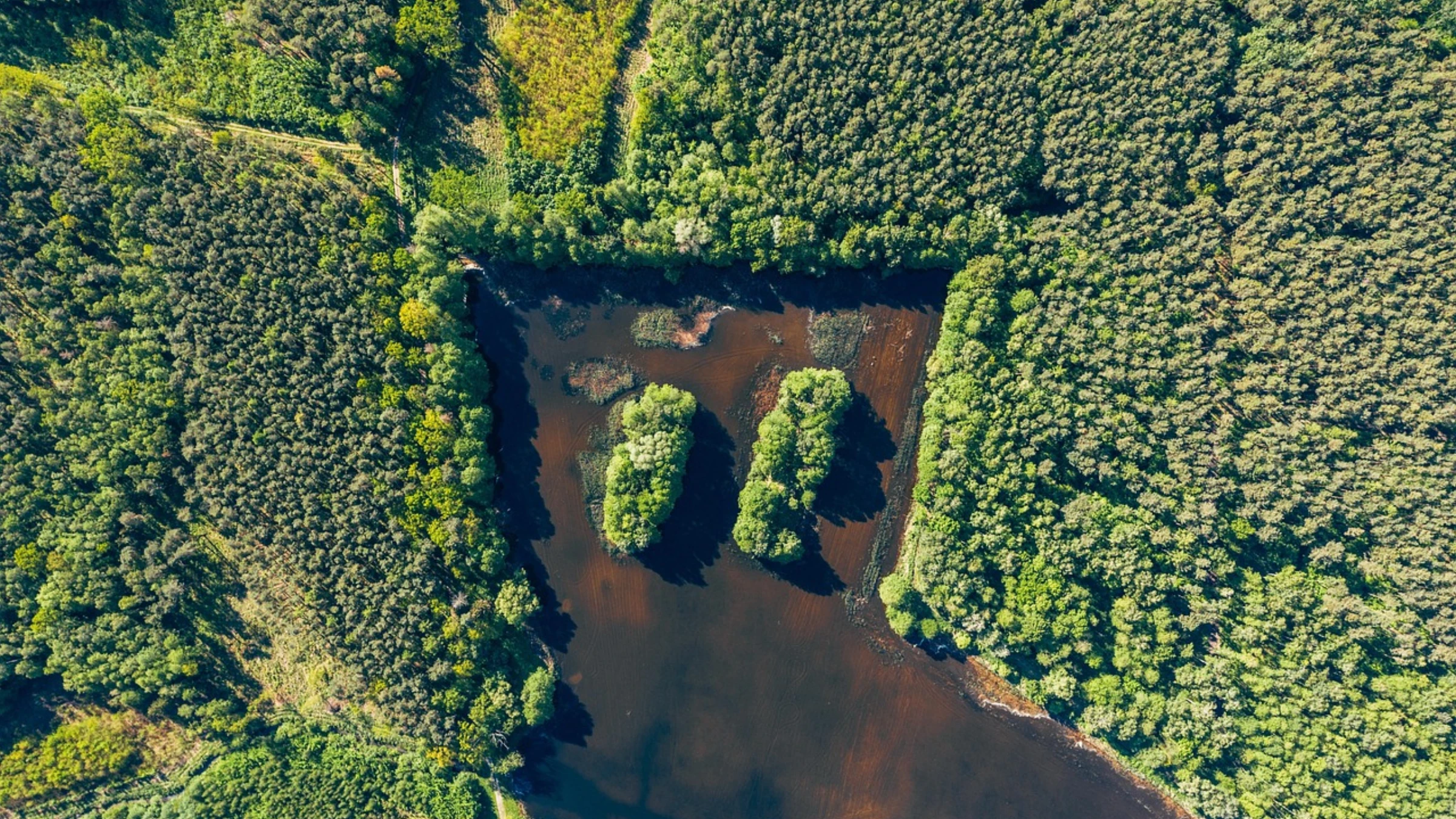 Aerial view of forest, wetlands, and a winding road in Poland.