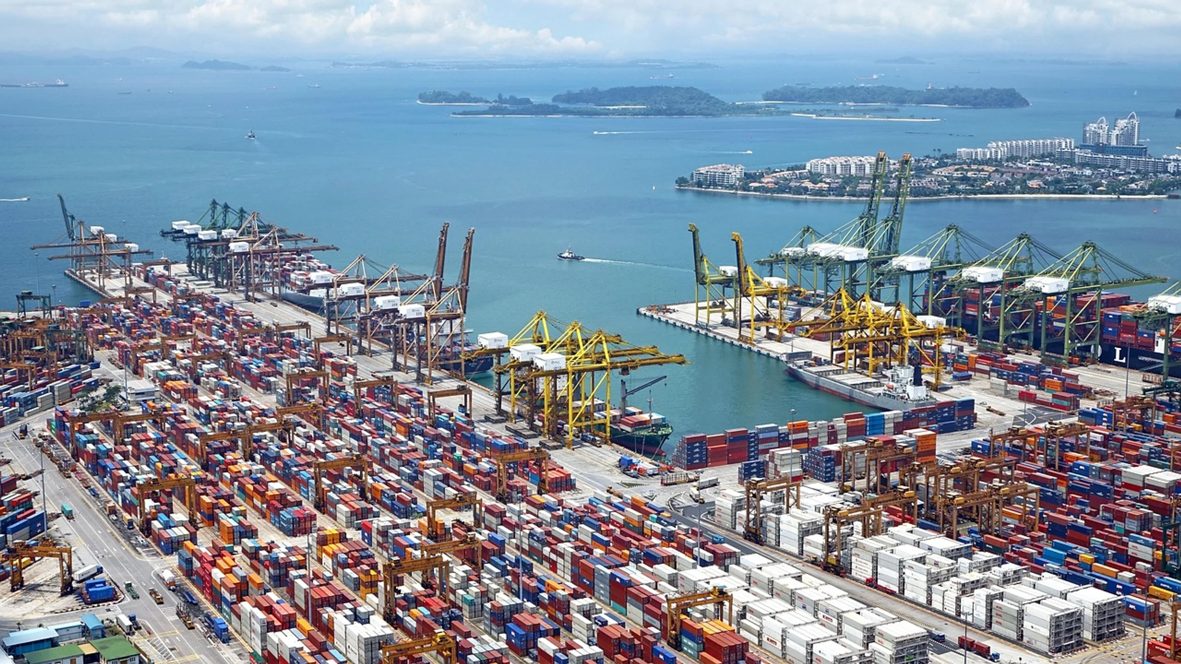 Container cranes and ships operating across a large port.