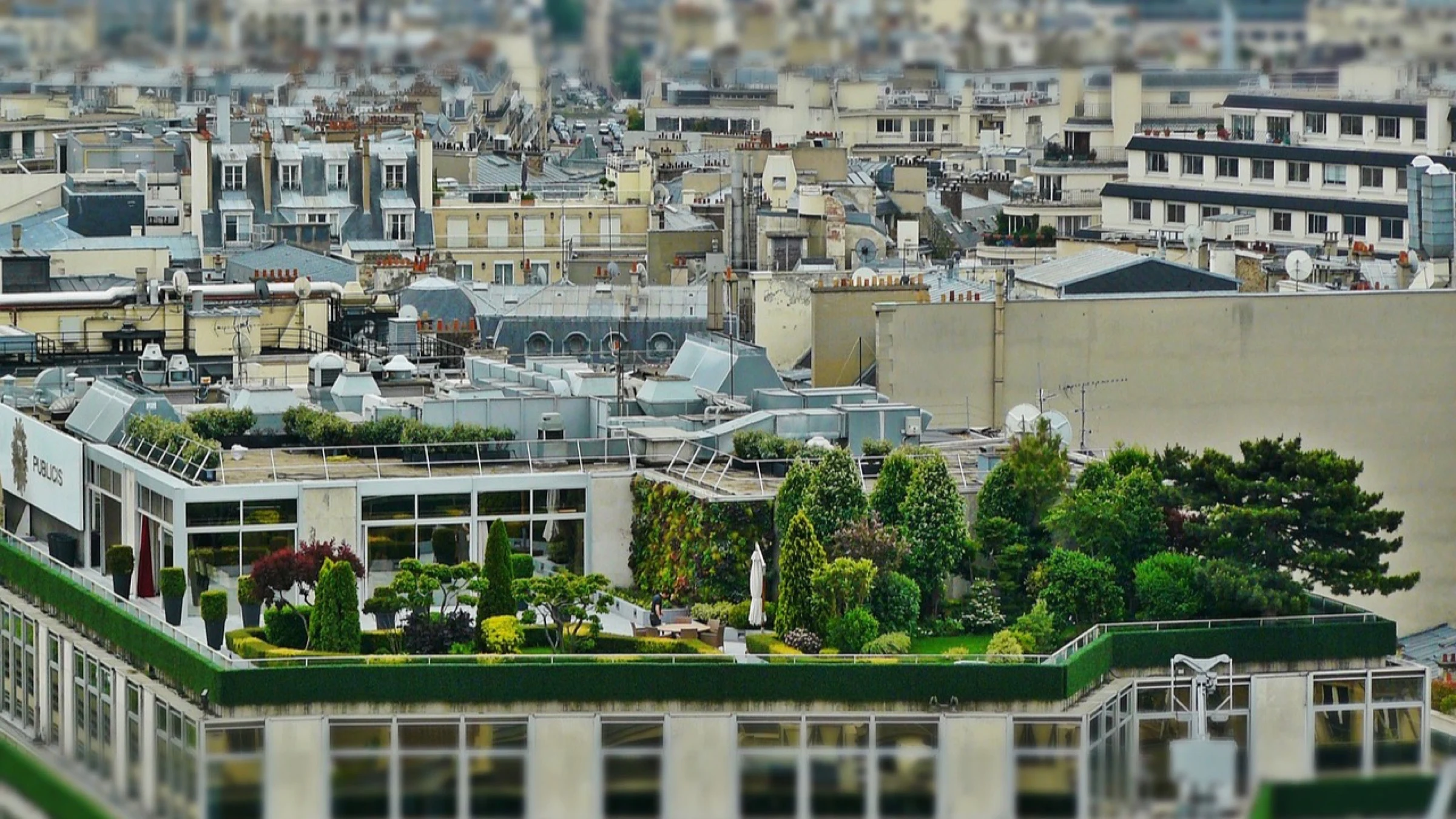 Rooftop garden above the Paris cityscape.