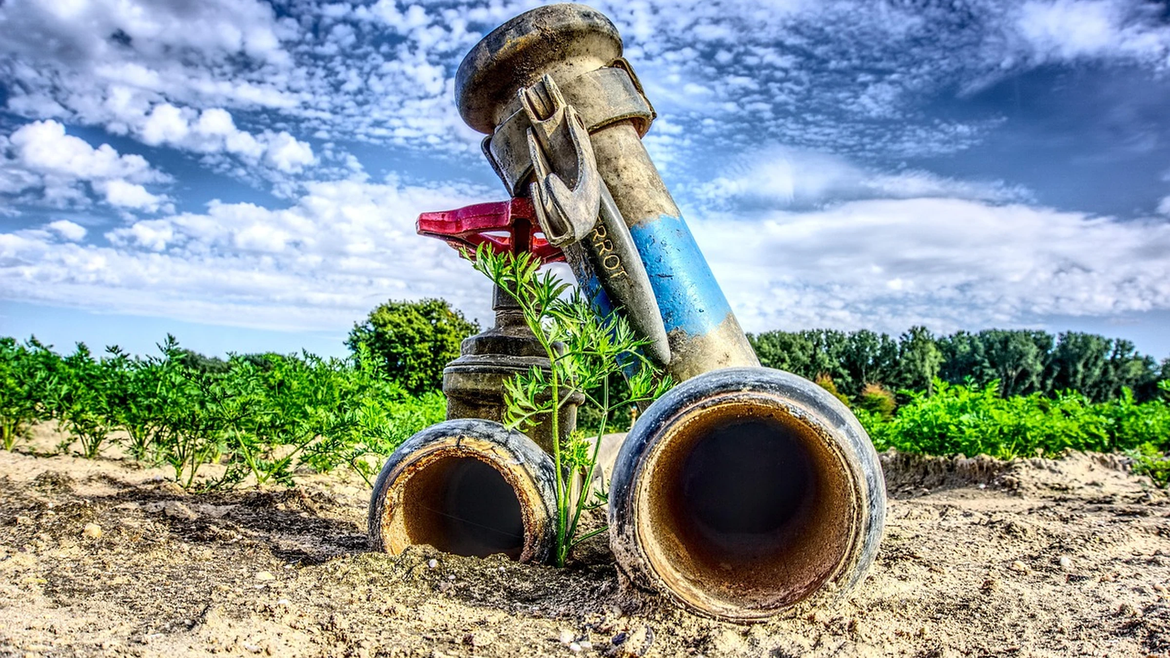 Irrigation pipes and a shut-off valve in a farm field.