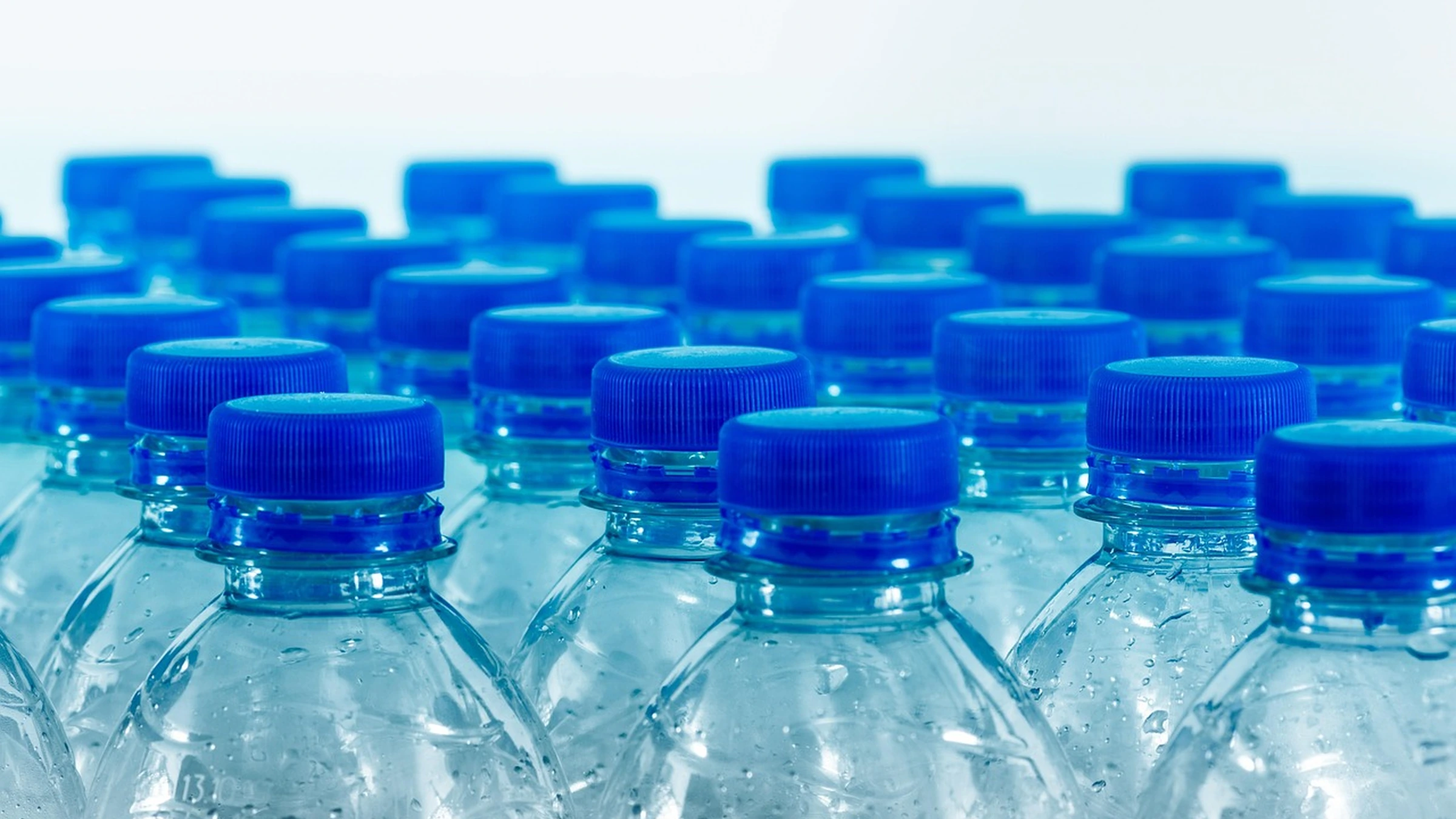 Rows of clear plastic bottles with blue caps.