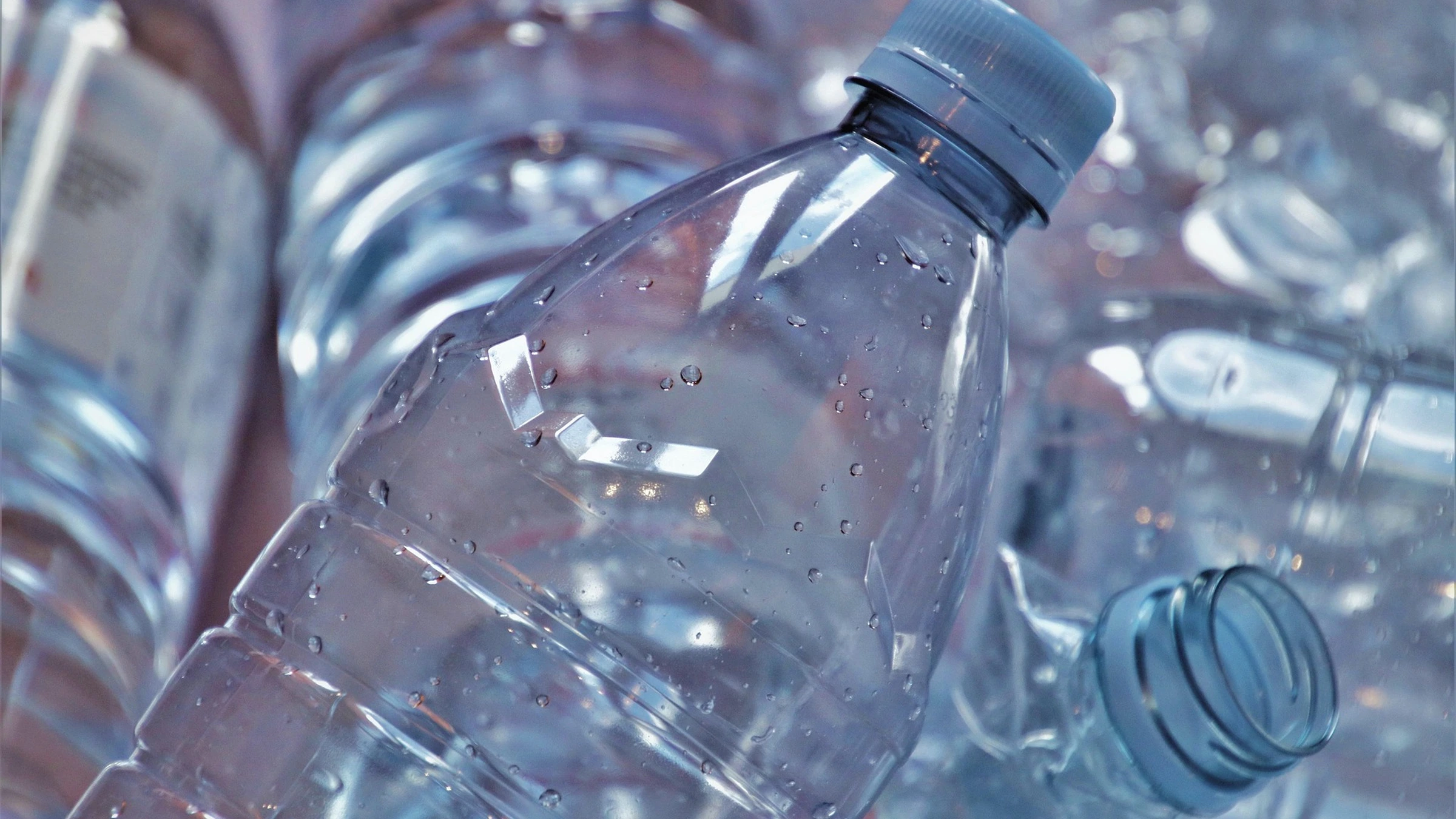 Close-up of plastic bottles.