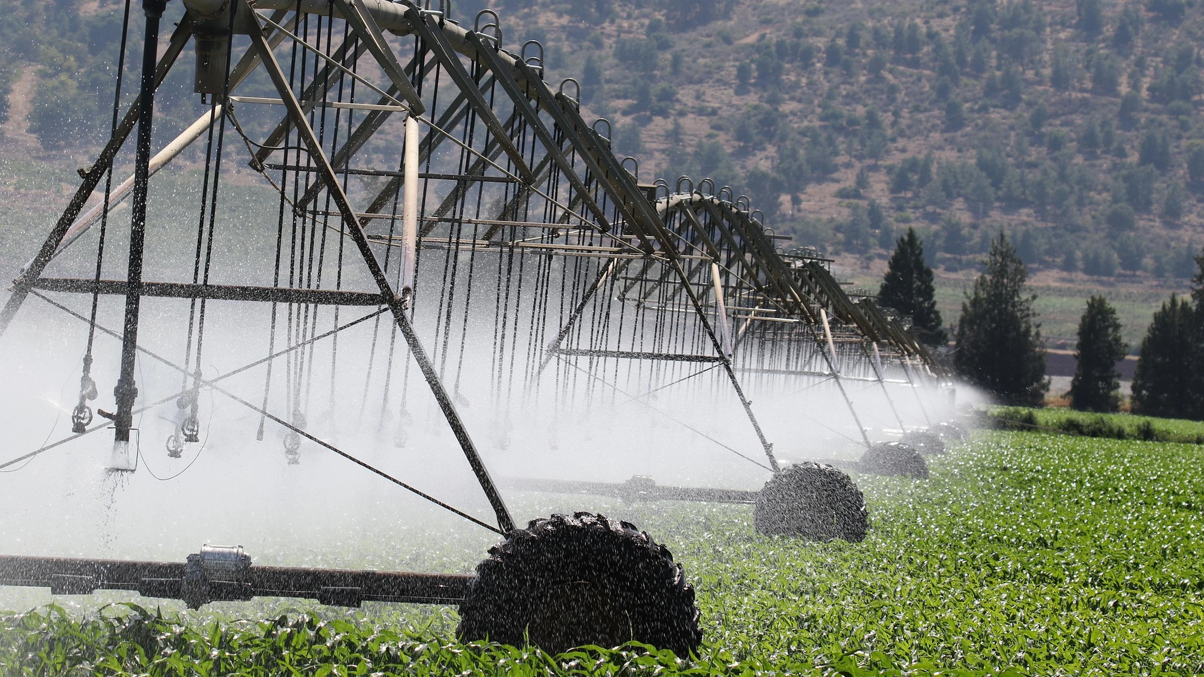 A centre-pivot irrigation system spraying crops against a mountain backdrop.